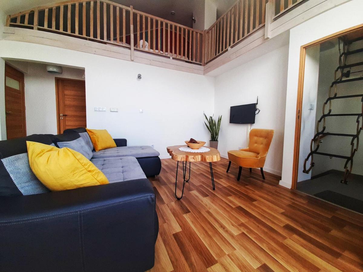 Apartamenty Zloty Widok Щирк Екстер'єр фото